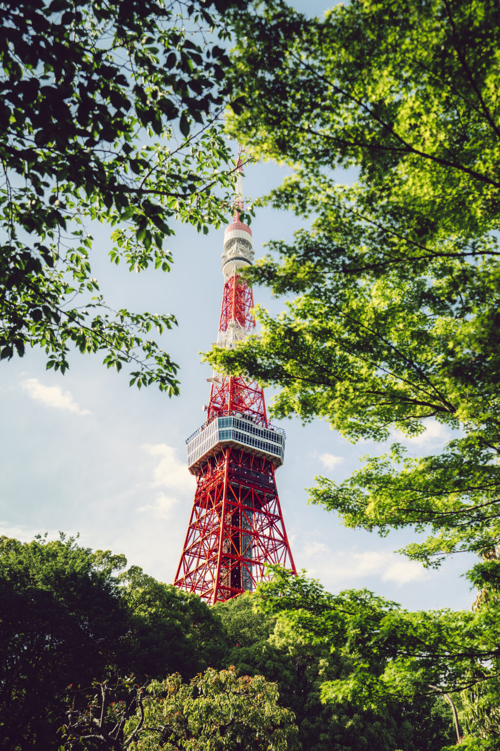 Viaggio in Giappone &mdash; Japan Jack