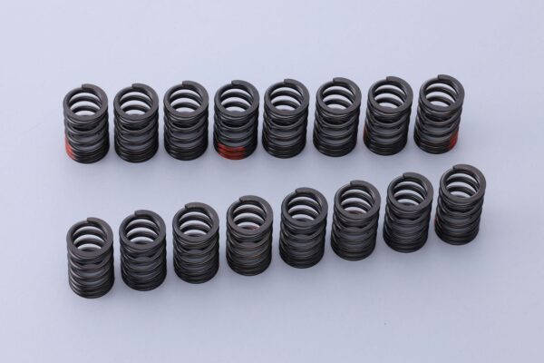 TOMEI 163073